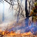 Prescribed burns: Fort McCoy uses fire for fire prevention