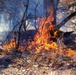 Prescribed burns: Fort McCoy uses fire for fire prevention