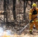 Prescribed burns: Fort McCoy uses fire for fire prevention