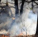Prescribed burns: Fort McCoy uses fire for fire prevention