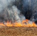 Prescribed burns: Fort McCoy uses fire for fire prevention