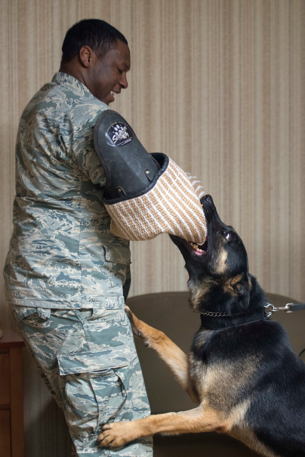 673d Security Forces Squadron Military Working Dog Team hones their skills at JBER