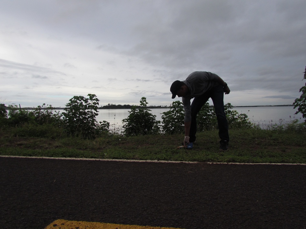 Pearl Harbor Sailors clean bike path