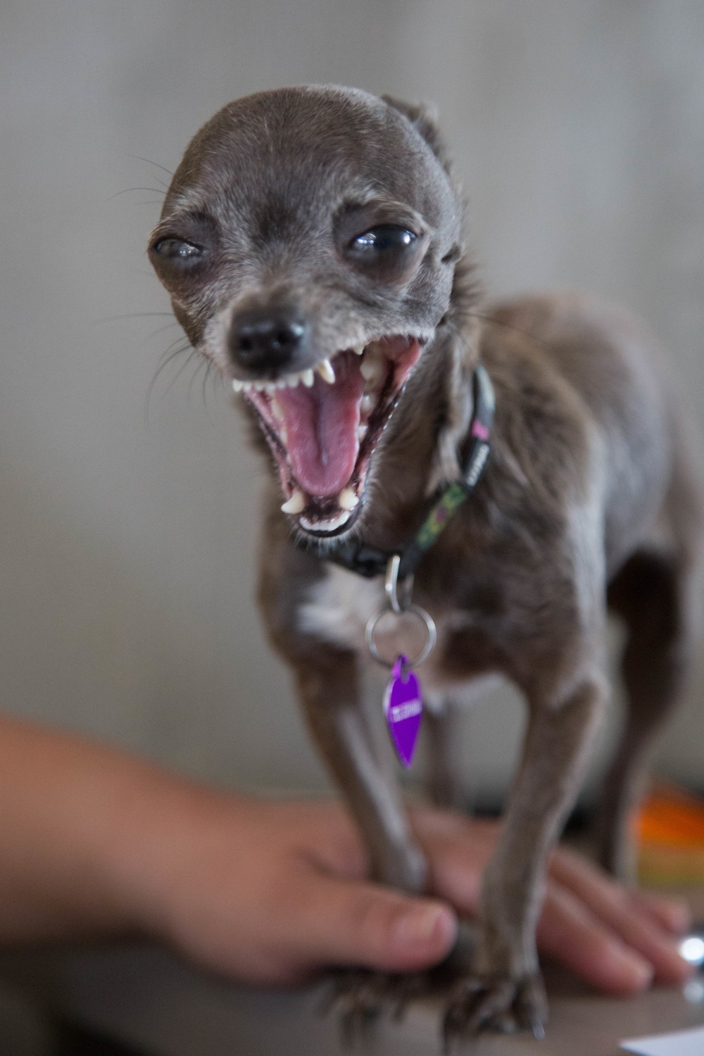 Continuing Promise 2018