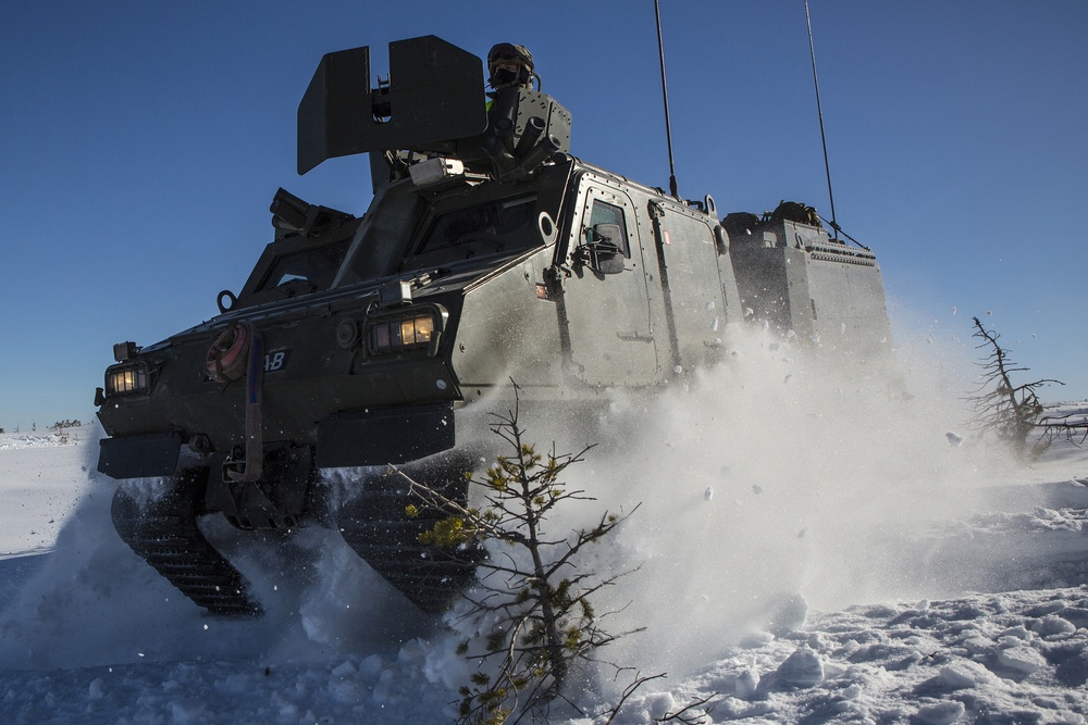 British Royal Marines train with US Marines in Norway