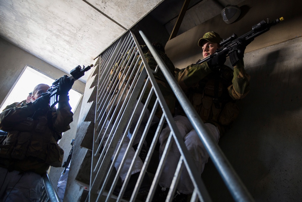 Marines, Norwegian soldiers conduct integrated close quarters combat training