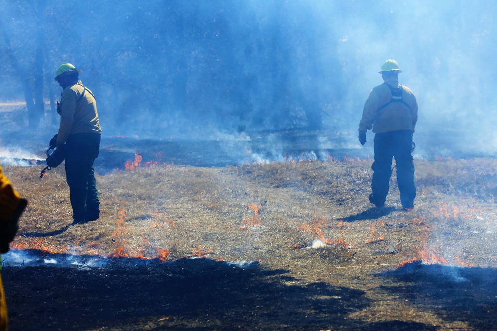 Prescribed burns: Fort McCoy uses fire for fire prevention