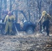 Prescribed burns: Fort McCoy uses fire for fire prevention