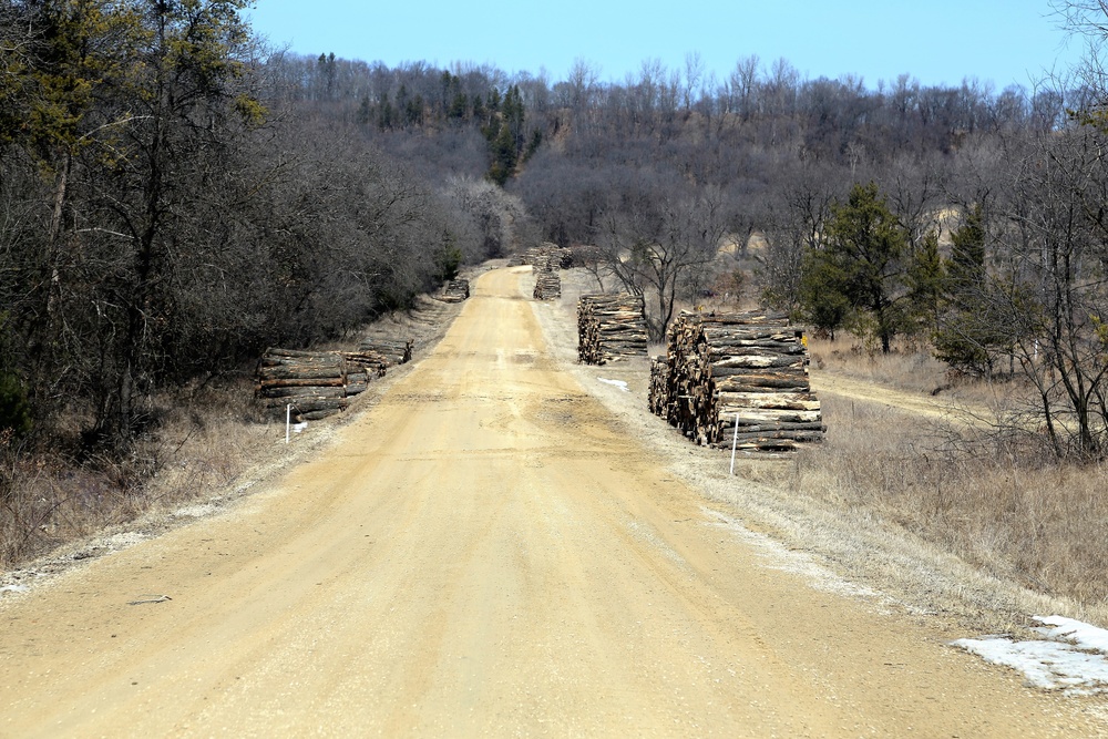 Fort McCoy timber harvest improves training capability, environment