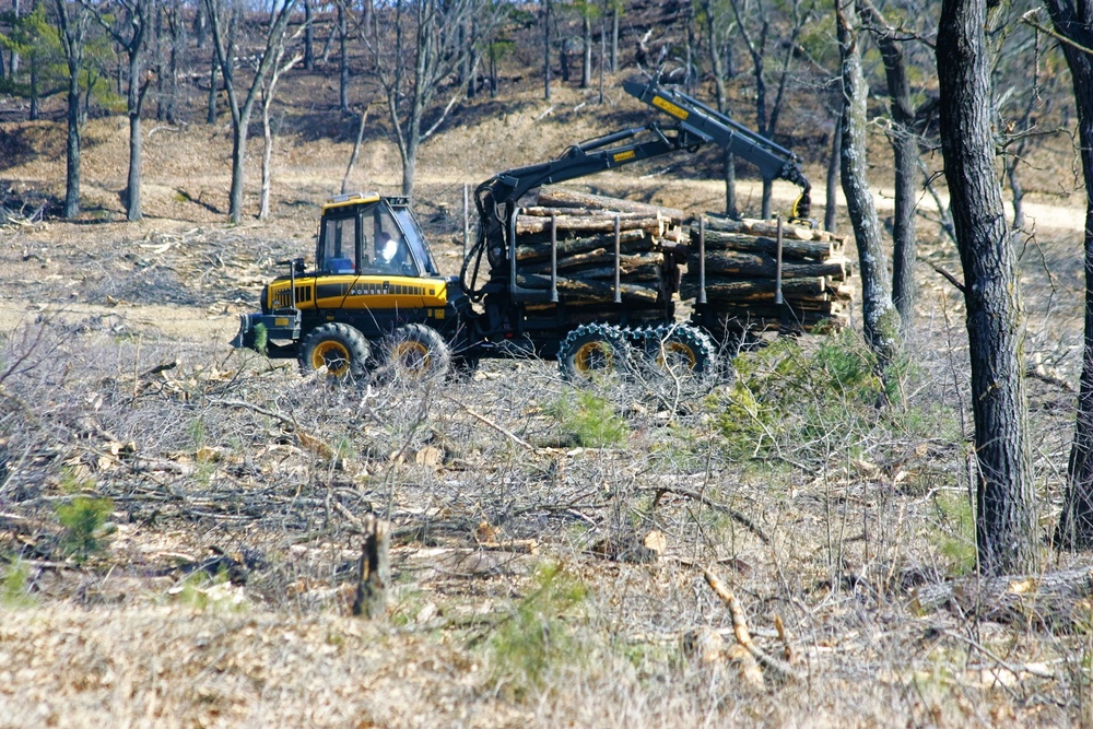 Fort McCoy timber harvest improves training capability, environment
