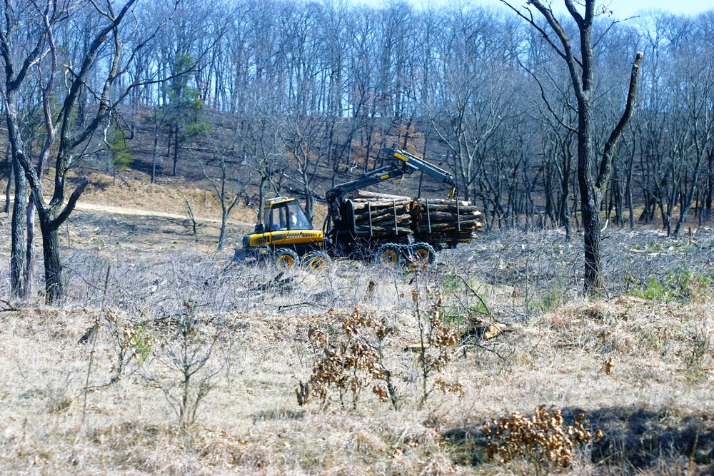 Fort McCoy timber harvest improves training capability, environment
