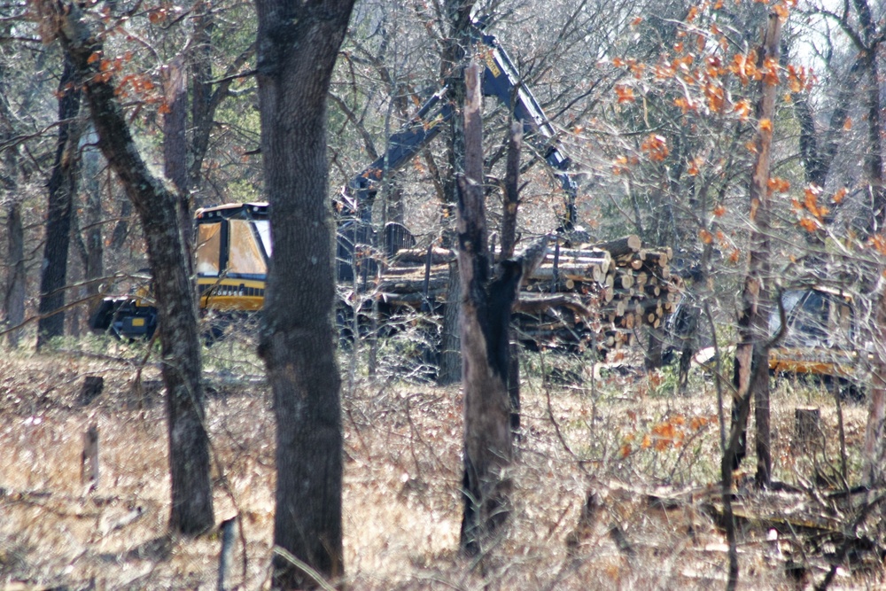 Fort McCoy timber harvest improves training capability, environment