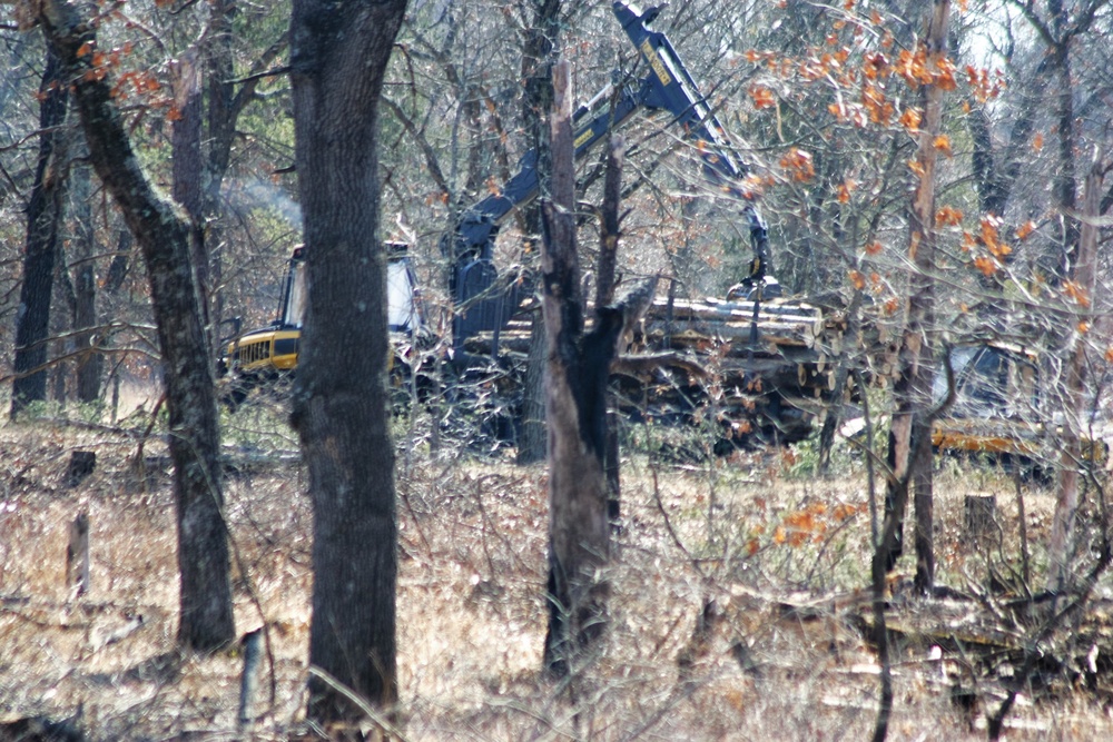 Fort McCoy timber harvest improves training capability, environment