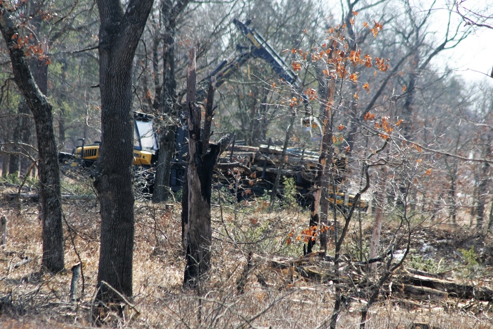 Fort McCoy timber harvest improves training capability, environment