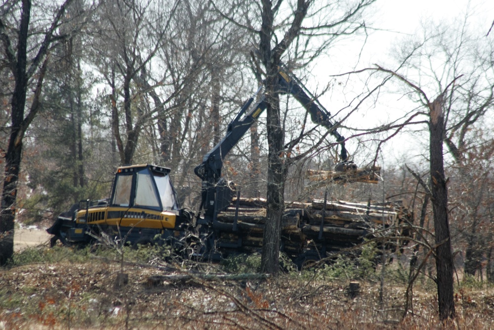 Fort McCoy timber harvest improves training capability, environment