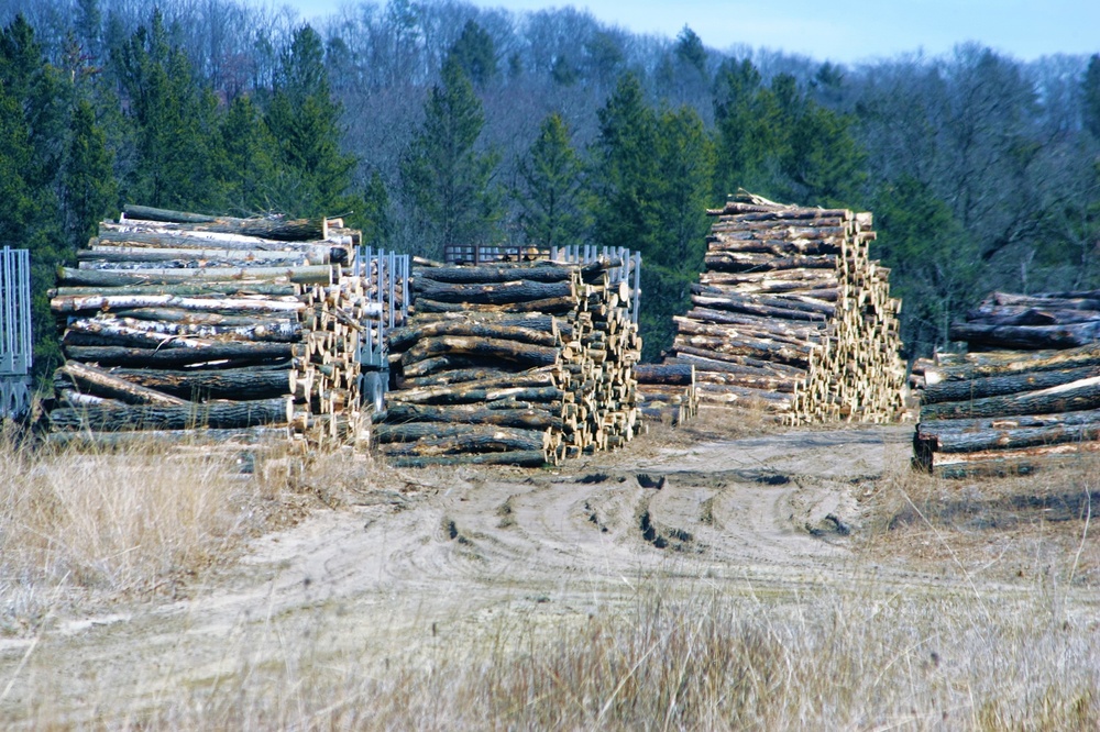 Fort McCoy timber harvest improves training capability, environment