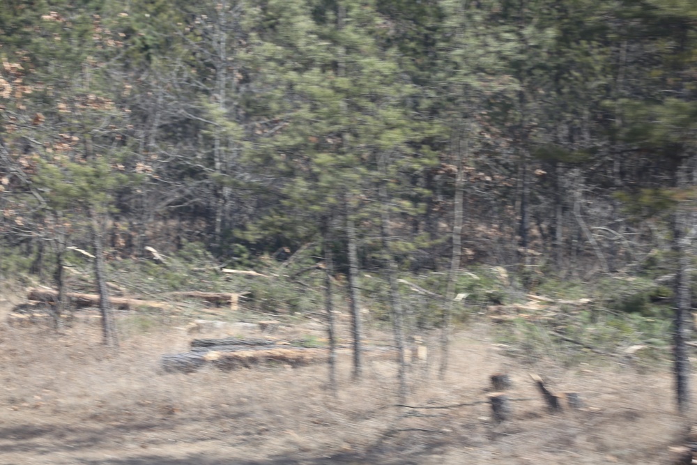 Fort McCoy timber harvest improves training capability, environment