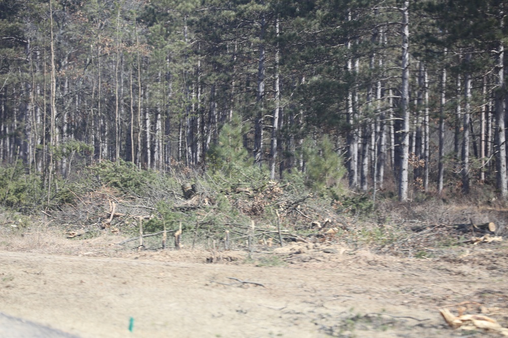 Fort McCoy timber harvest improves training capability, environment