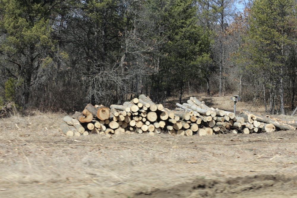 Fort McCoy timber harvest improves training capability, environment
