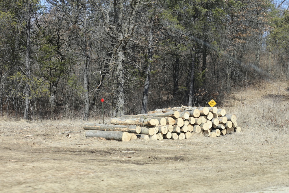 Fort McCoy timber harvest improves training capability, environment