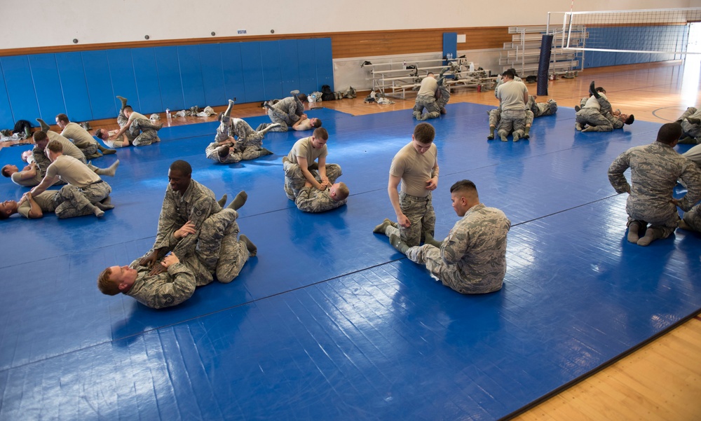 Physically resilient physical training