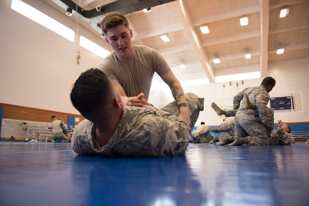 Physically resilient physical training