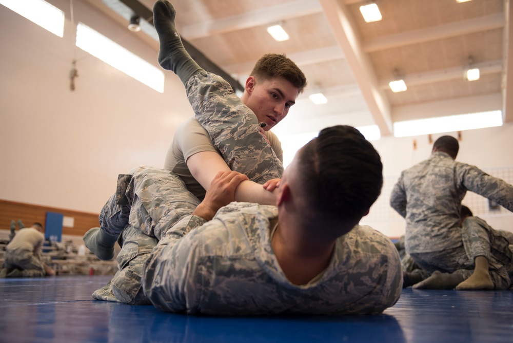 Physically resilient physical training
