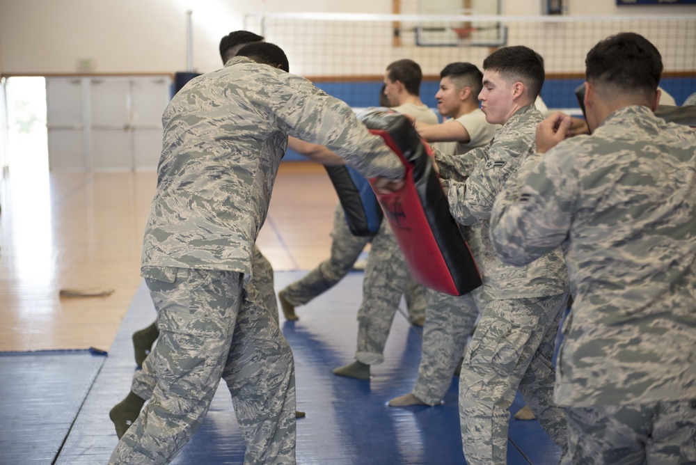 Physically resilient physical training