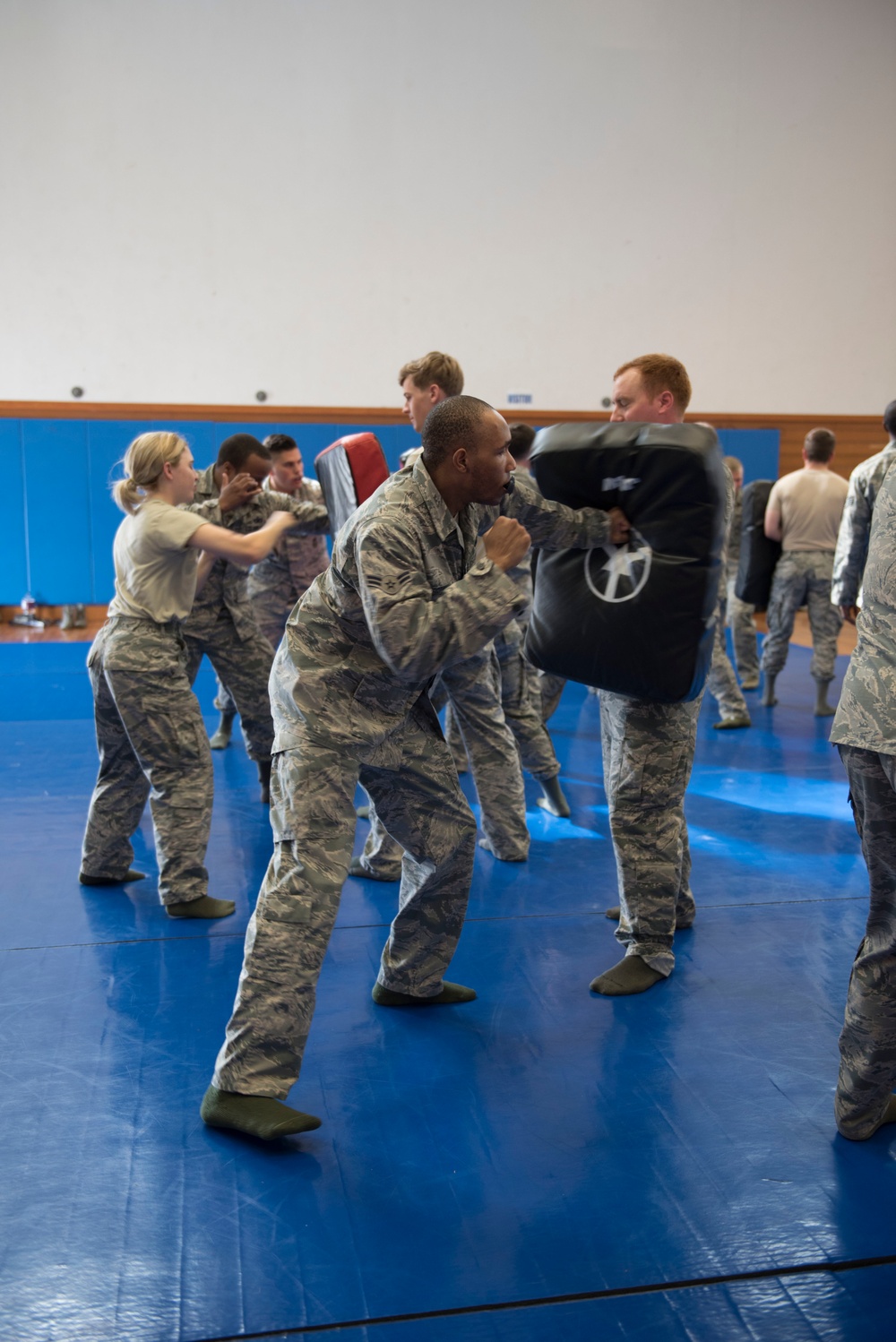 Physically resilient physical training