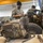 4-319th AFAR conduct maintenance