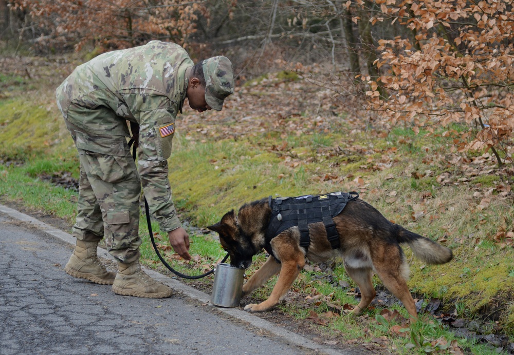 100th Military Police Detachment's Military Working Dogs Annual Certification