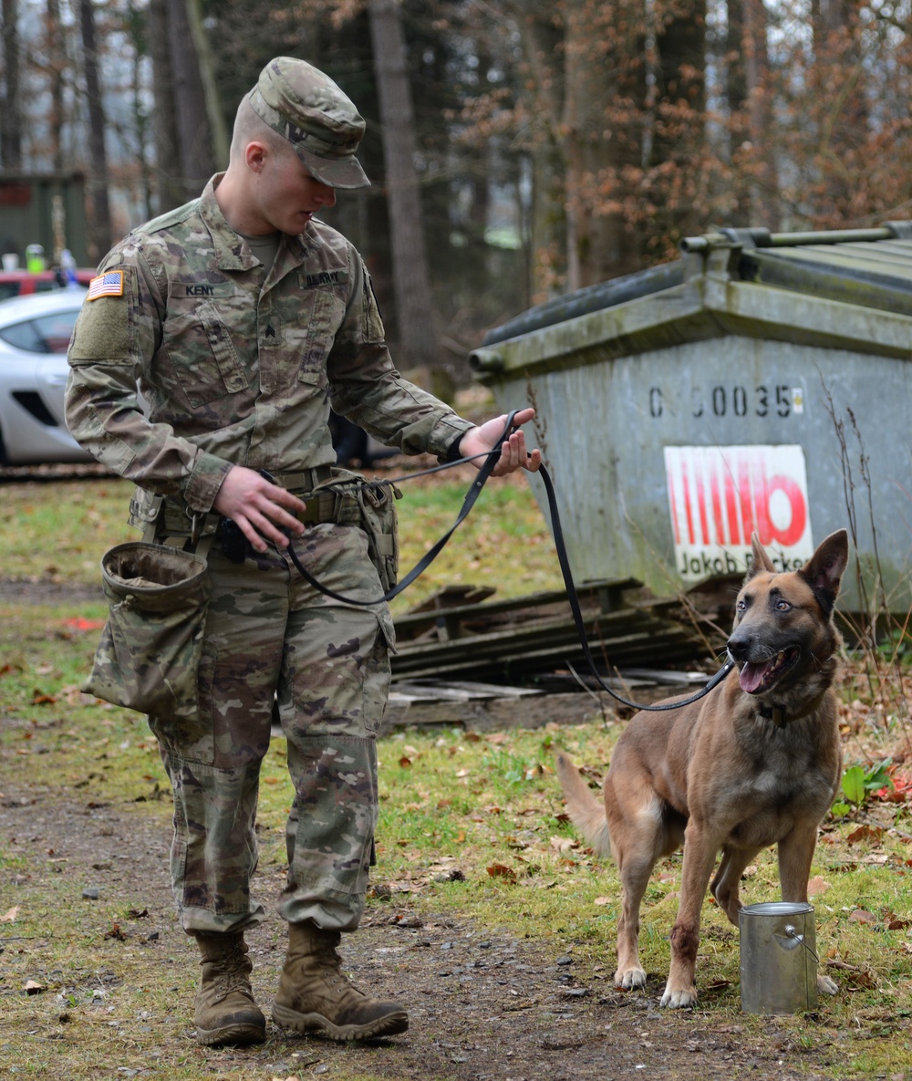 100th Military Police Detachment's Military Working Dogs Annual Certification