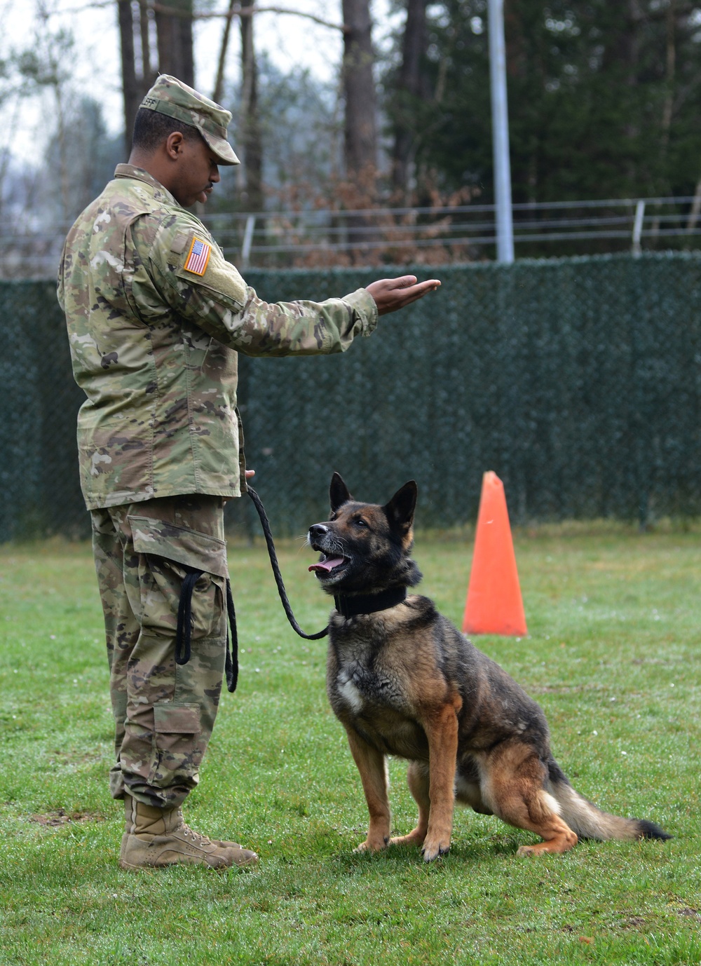 100th Military Police Detachment's Military Working Dogs Annual Certification