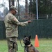 100th Military Police Detachment's Military Working Dogs Annual Certification