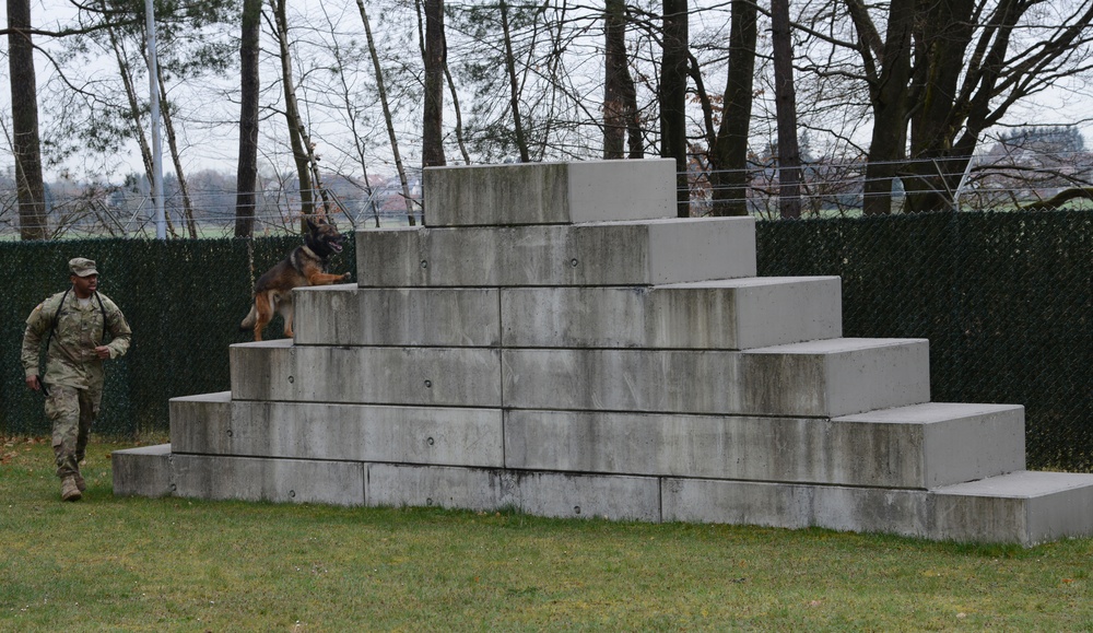 100th Military Police Detachment's Military Working Dogs Annual Certification