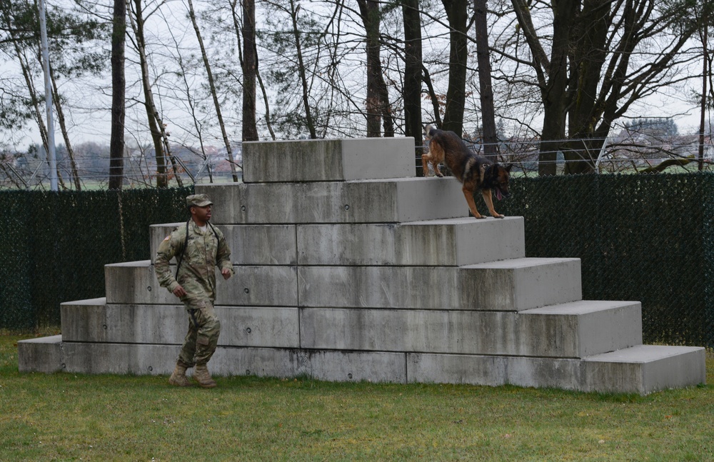 100th Military Police Detachment's Military Working Dogs Annual Certification