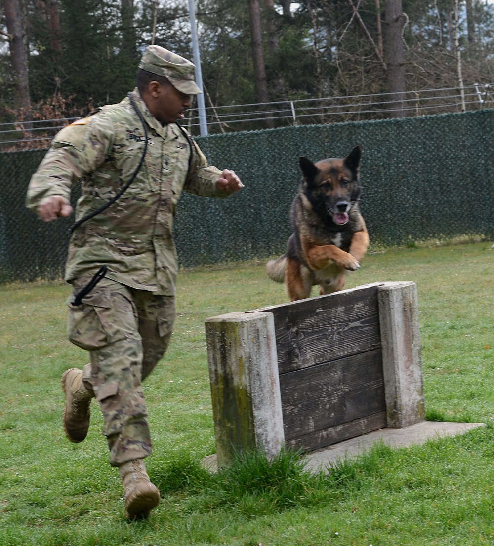 100th Military Police Detachment's Military Working Dogs Annual Certification
