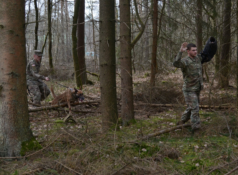100th Military Police Detachment's Military Working Dogs Annual Certification