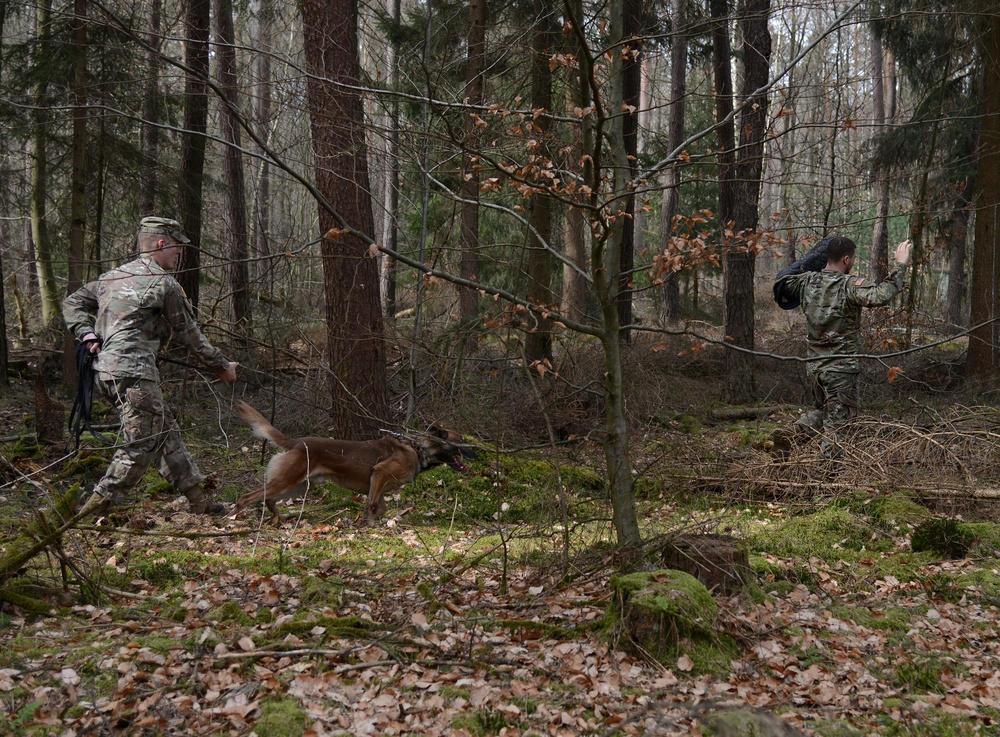 100th Military Police Detachment's Military Working Dogs Annual Certification