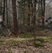100th Military Police Detachment's Military Working Dogs Annual Certification