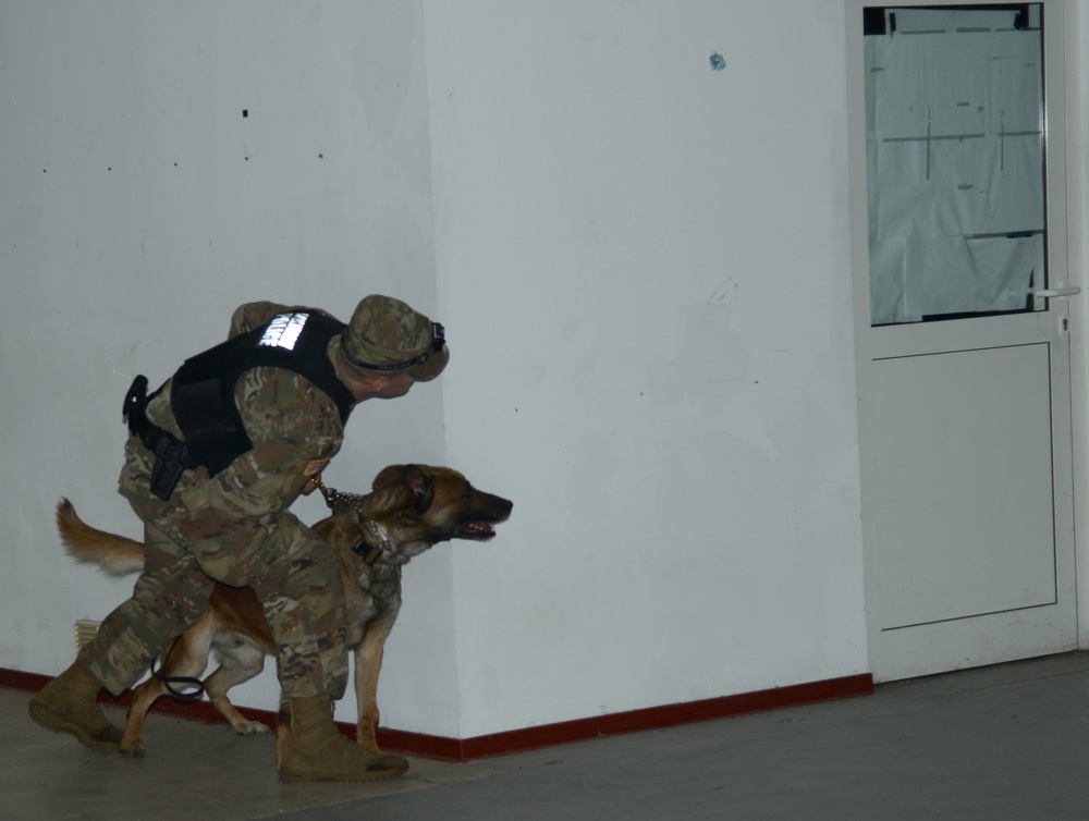 100th Military Police Detachment's Military Working Dogs Annual Certification