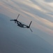 Raided: Ospreys conduct LRR