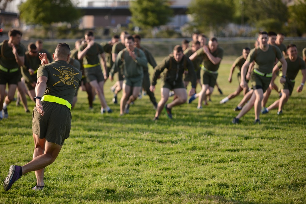 1st Intelligence Battalion physical training