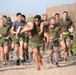 1st Intelligence Battalion physical training