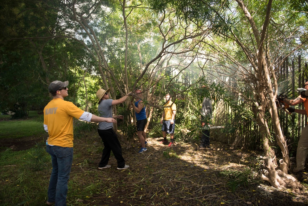 Hawaii service members and families launch Phase II of large scale clean-up