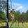 A soldier in full camouflage uniform and helmet is climbing a thick rope on a military obstacle course or training demonstration event. The activity appears to be taking place at an outdoor public event, with spectators and other military personnel visible in the background. The setting is a grassy field surrounded by pine trees under a partly cloudy sky.