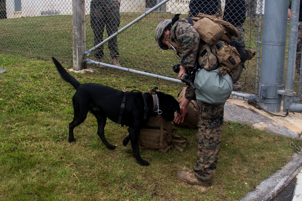 31st MEU evacuates role-players during CERTEX