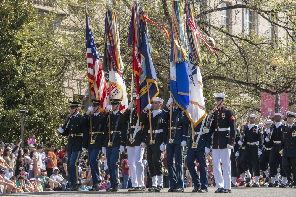 Cherry Blossom Festival Parade