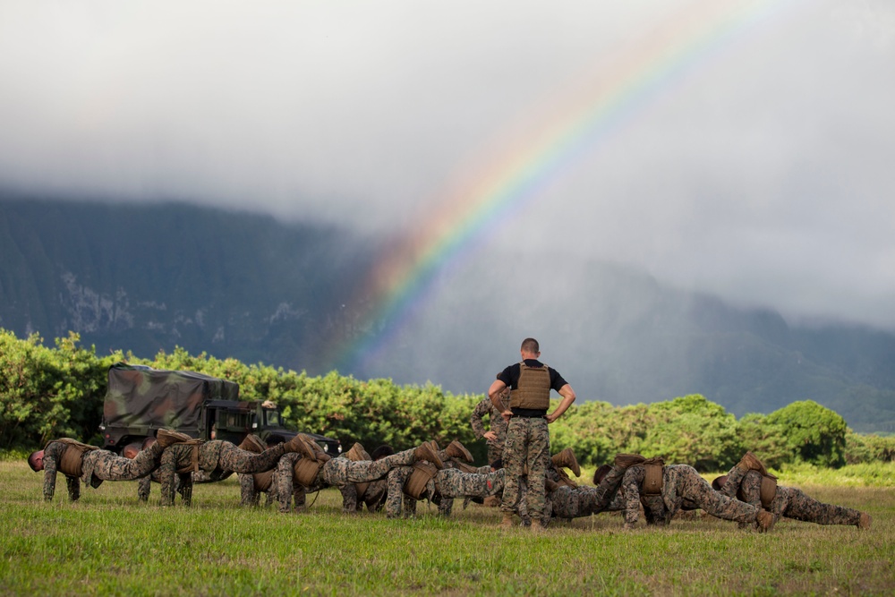 Together as a team, Hawaii Marines receive instructor tab