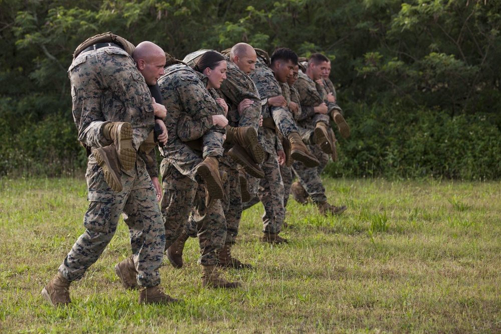 Together as a team, Hawaii Marines receive instructor tab